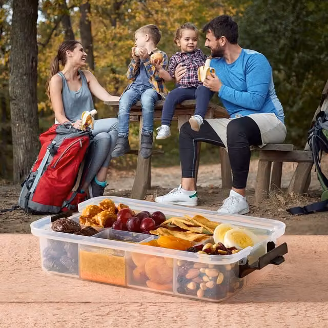 Farberware SnackleBox Polypropylene Board and Box, Brown and Transparent, W: 32 cm, D: 20 cm