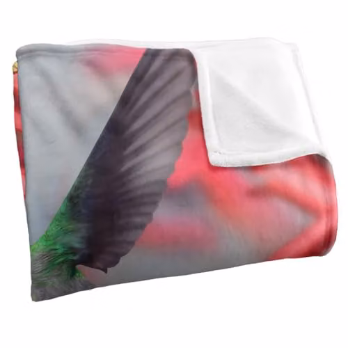 JQ Licensing Royce Mcclure Hummingbirds Silky Touch Super Soft Fleece Throw Blanket, White and Multicolour, W: 152 cm, D: 127 cm – 2