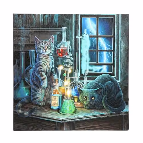 Lisa Parker Jekyll and Hyde Light Up LED Canvas Plaque in Black, Multicolour and Turquoise, W/D/H: 30 x 30 x 1 cm