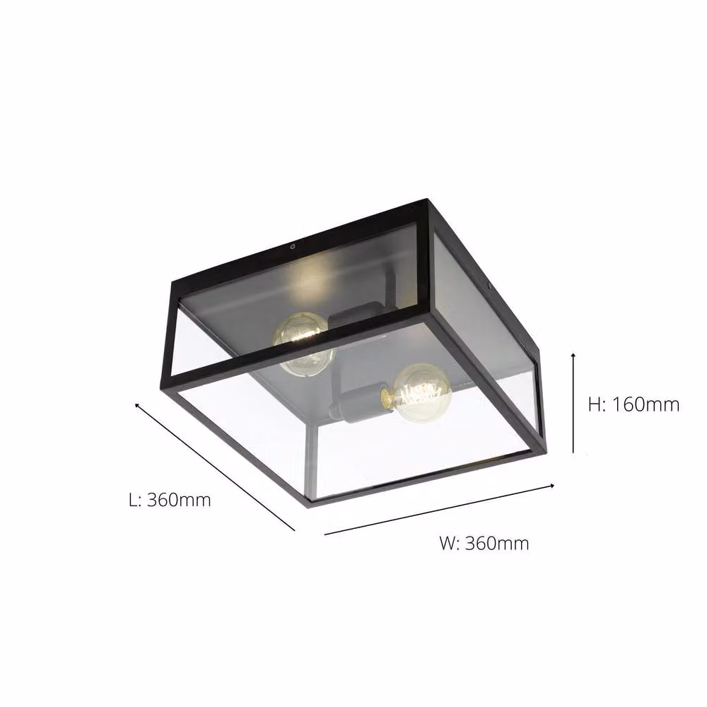 Eglo Charterhouse Industrial Black Metal and Transparent Glass Wall or Ceiling Light – 3