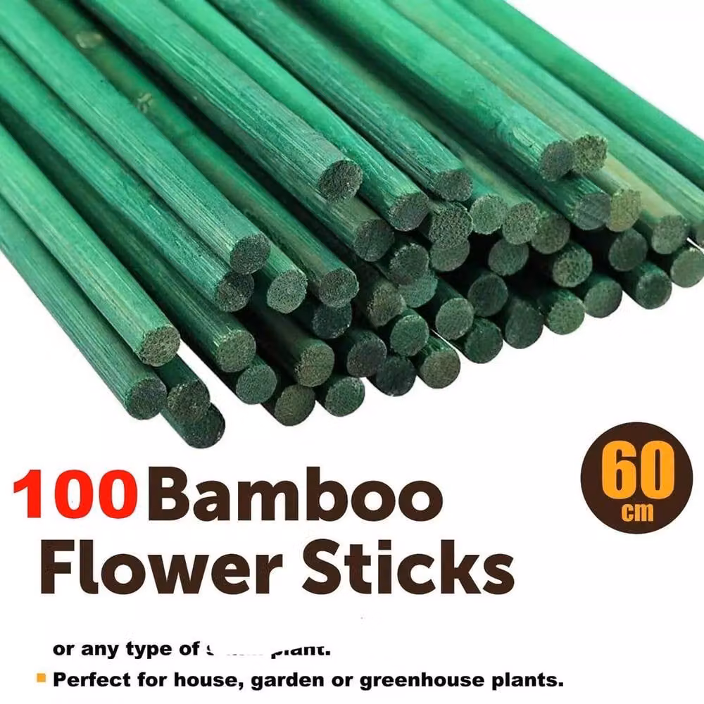 FLAVORA 100 Pack Green Bamboo Flower Sticks Wooden Plant Support H: 50 cm, W: 100 cm – 4