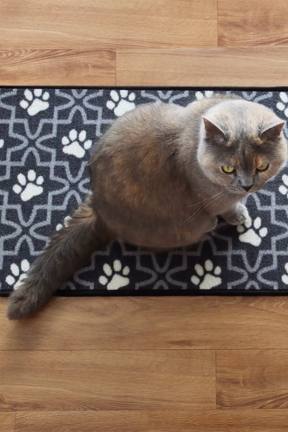 JVL Machine Washable Non-Slip Pet Mat with Animal Graphic, Blue and Grey, W/D: 70 x 40 cm – 2
