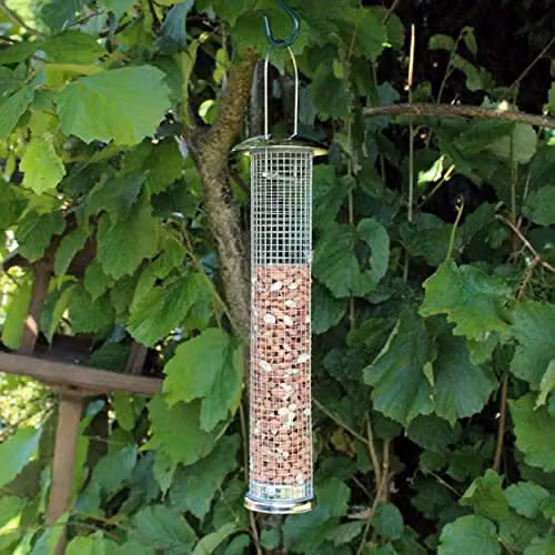 Natures Market BF019 Large Deluxe Hanging Steel Nut and Peanut Bird Feeder in Transparent and Silver – 2
