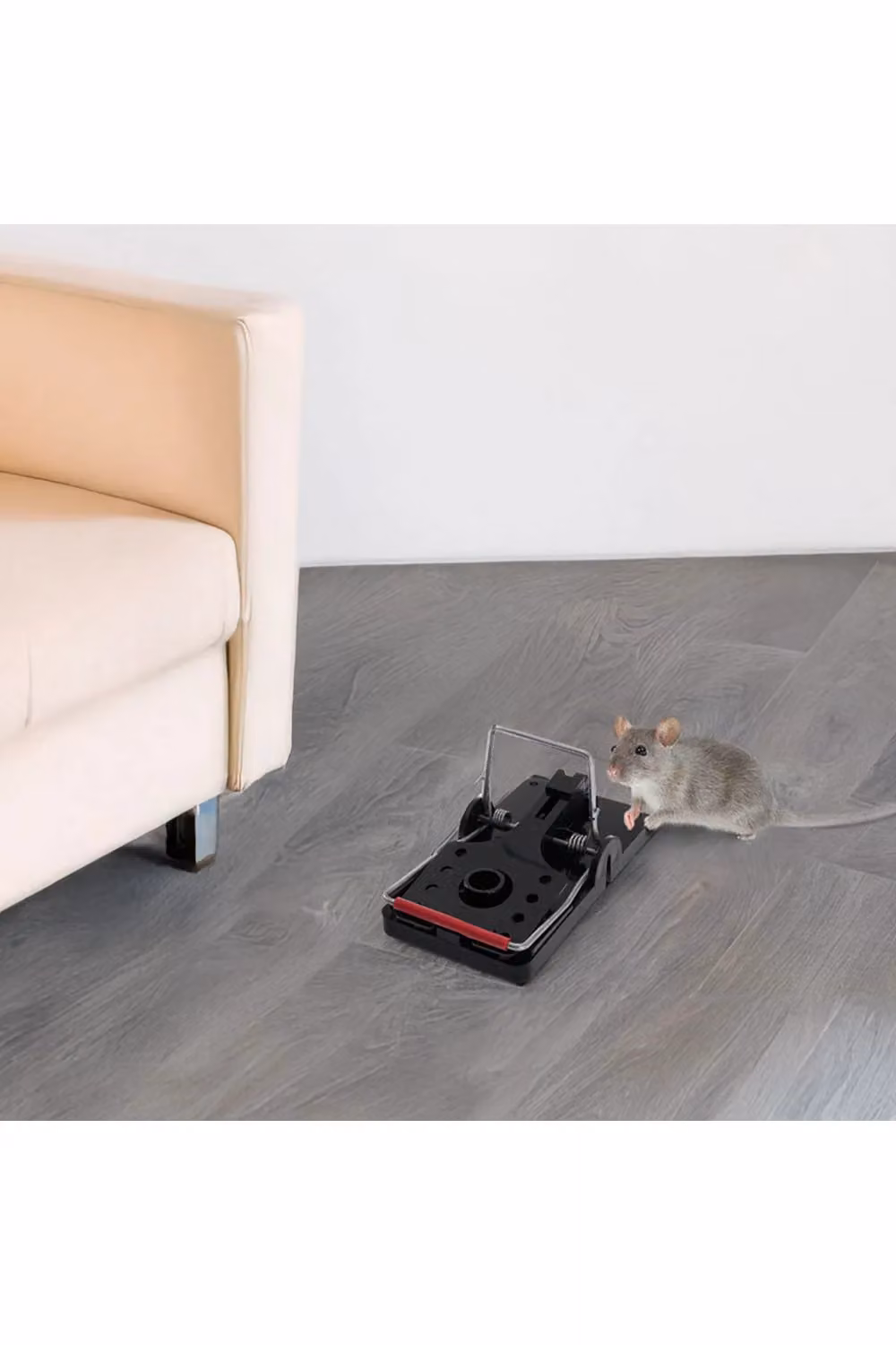 H&O Direct Reusable Plastic Mouse Traps, 4 Pack, Black – 2