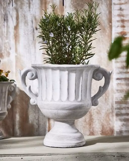 Dibor Vintage Style Concrete Grey Large Indoor Outdoor Planter with Baroque Scrolled Handles, H 25 cm, Dia 30 cm – 1