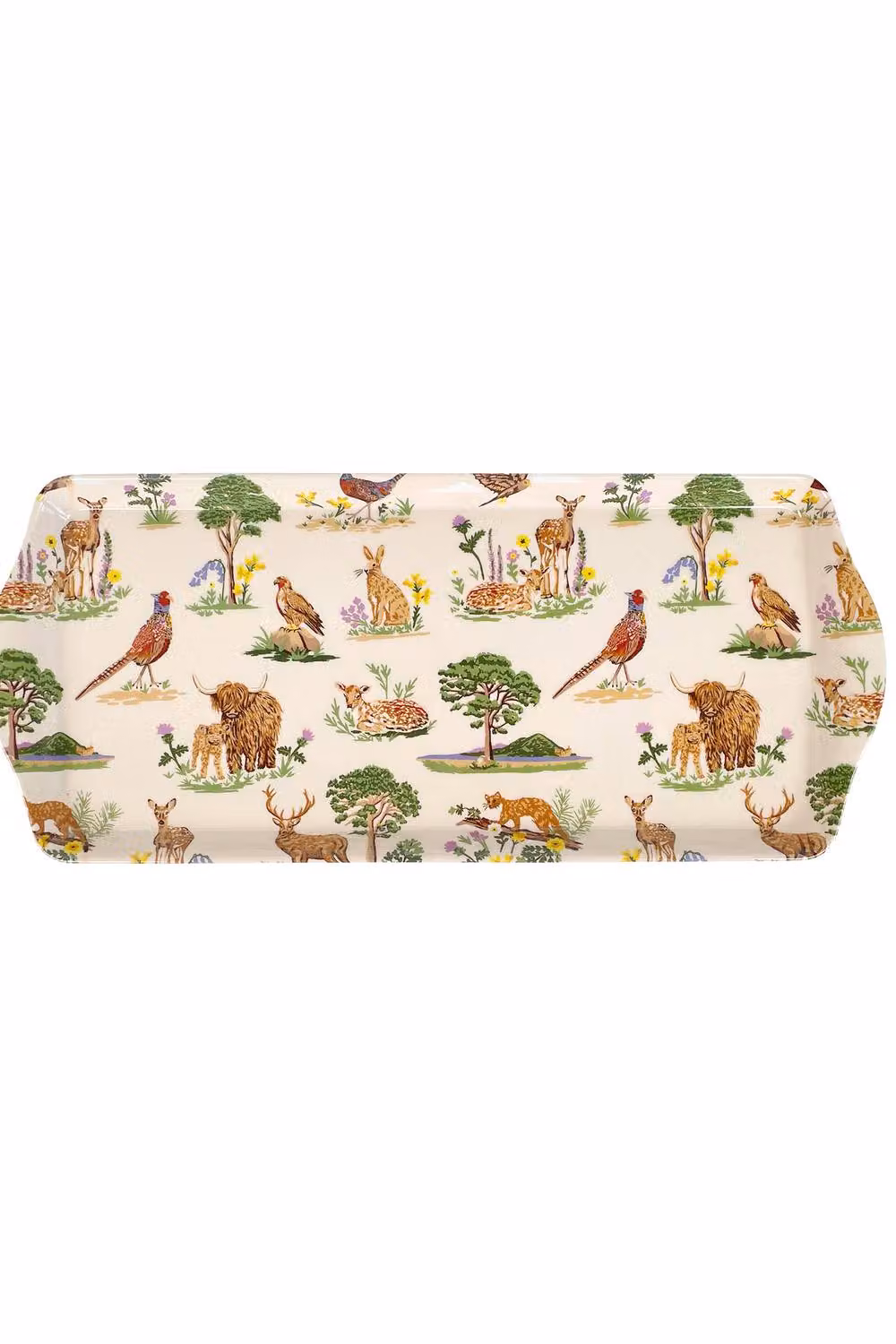 Ulster Weavers Thistlewood Highland Inspired Floral Print Small Rectangular Melamine Tray in Beige and Multicolour – 2
