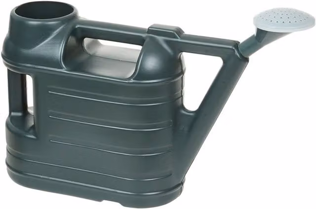 Ward 6.5L Plastic Watering Can with Rose in Green
