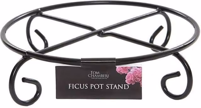 Tom Chambers Ficus Plant Pot Stand in Black, Diameter: 20 cm – 1