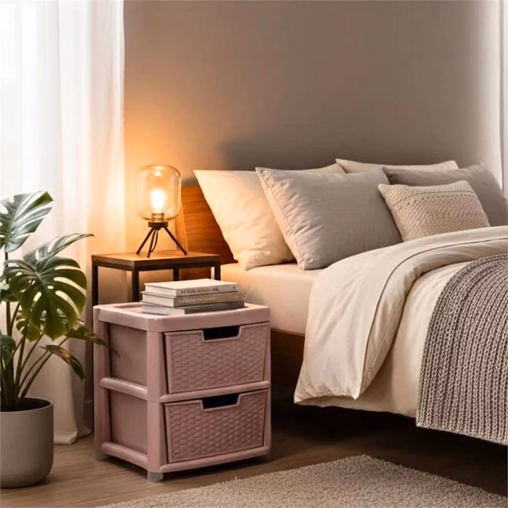 FORGEVIO 2 Tier Plastic Storage Drawer Cabinet Unit in Pink – 2