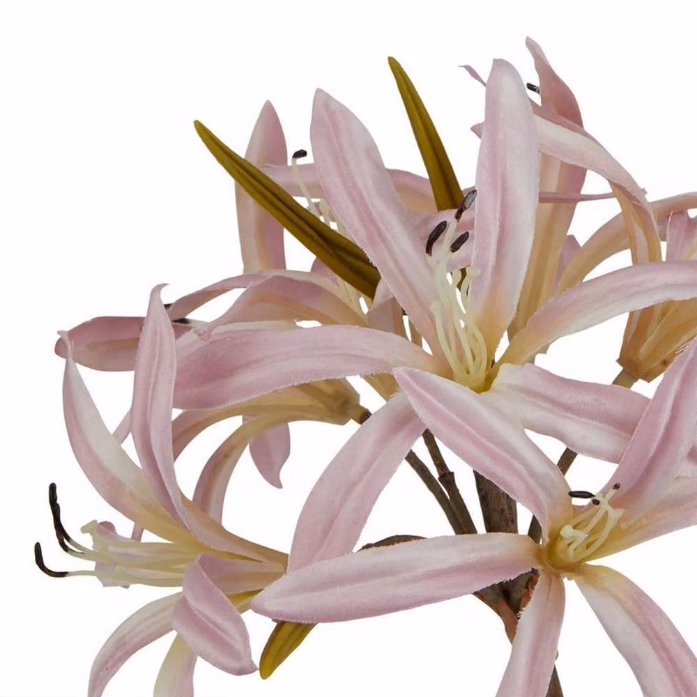 Lemon Pavilion The Natural Garden Collection Lily Single Stem Flower in Pink, Height: 61 cm – 2