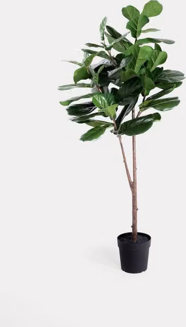 Blooming Artificial 6ft Freestanding Fig Tree in Green