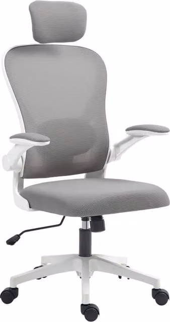 HOMCOM Ergonomic Mesh Office Chair with Headrest and Armrests in Grey