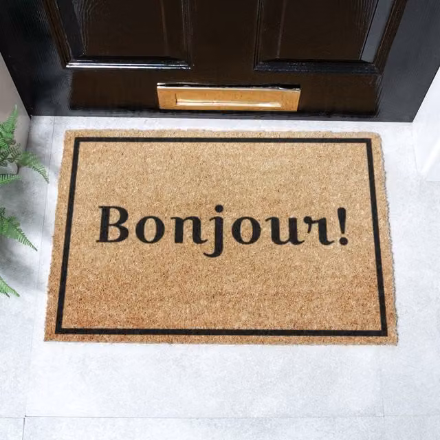 Artsy Mats Bonjour Non-Slip Coir Doormat with Border in Brown