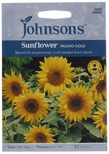 Johnsons Sunflower Pacino Gold Ornamental Flower Seeds, Yellow – 1