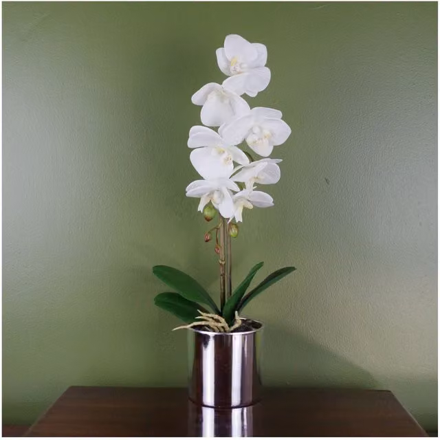 Botanik UK White Artificial Orchid Potted Tabletop Plant
