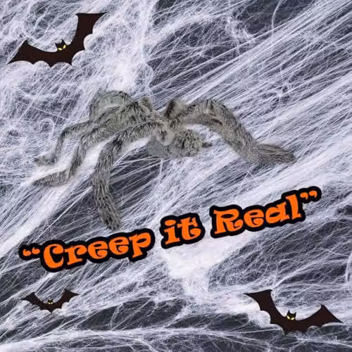 VFM e-Store Halloween Animated Spider with Light Up Eyes and Moving Legs in Grey – 5