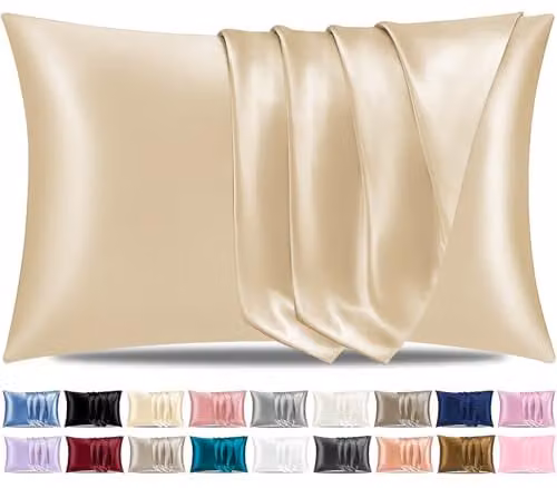 Pamposh Satin Silk Pillowcases 2 Pack in Beige, W/D/H: 50 x 75 x 0 cm