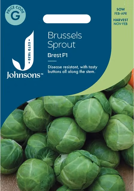 Johnsons Seeds Brussels Sprout Brest Vegetable Seeds