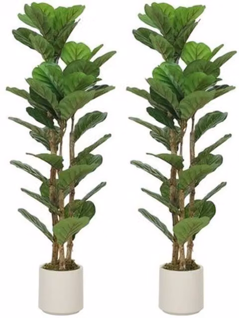 NESTLUNE Set of 2 Artificial Fiddle Leaf Fig Trees with Solid Wood Trunks, Green, H 120 cm x W 15 cm x D 15 cm – 1