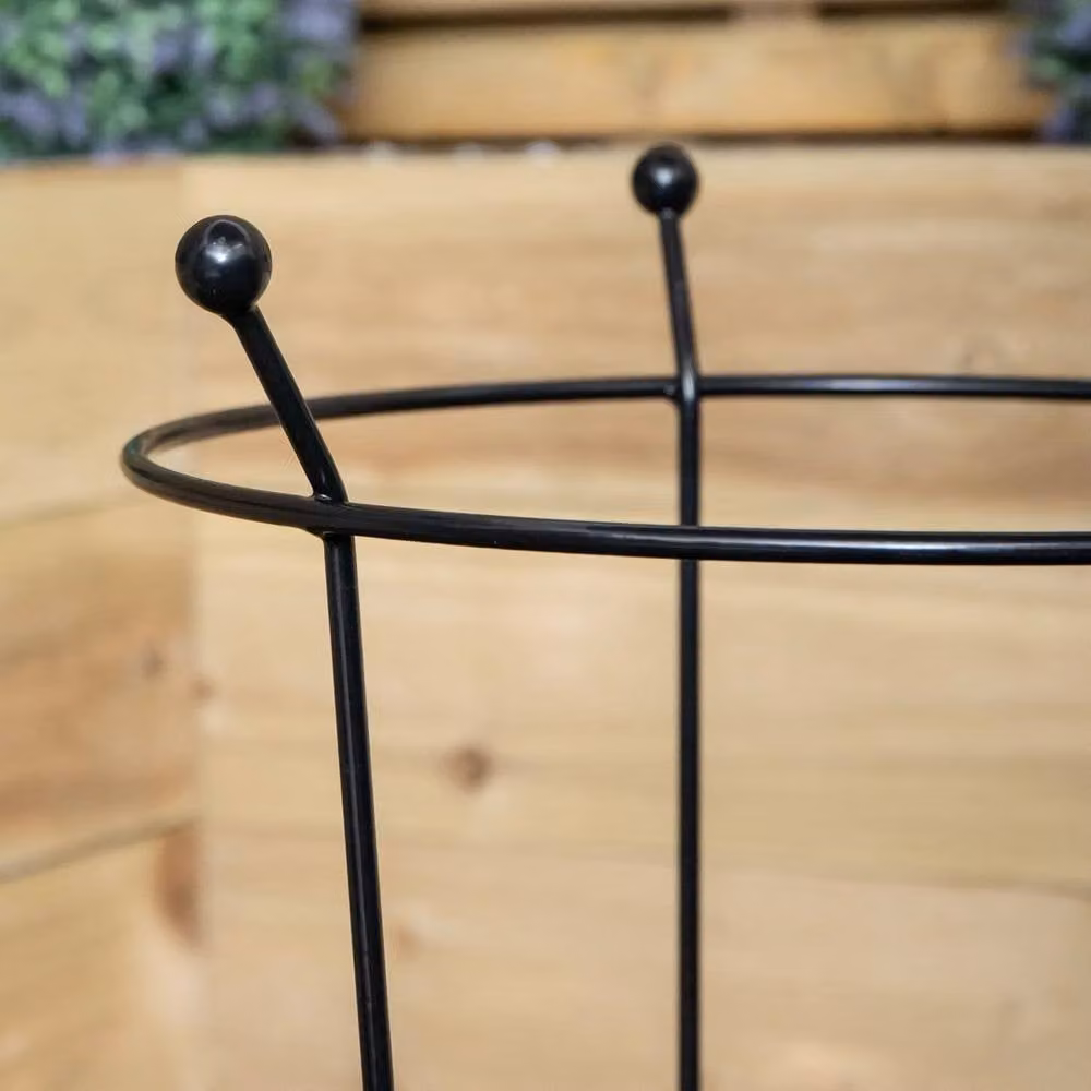 NESTLUNE 6 Pack of Black Steel Plant Stakes for Herb and Ornamental Gardens, H: 60 cm, W: 15 cm, D: 100 cm – 3