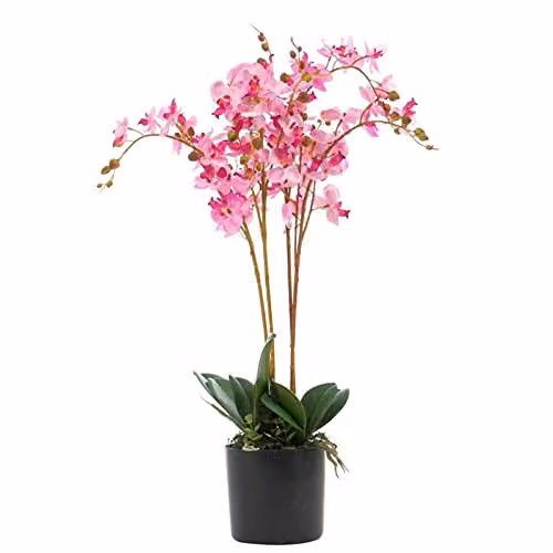 Leaf Design UK Realistic Pink Artificial Orchid Flower Display in Pot, Height: 60 cm – 1