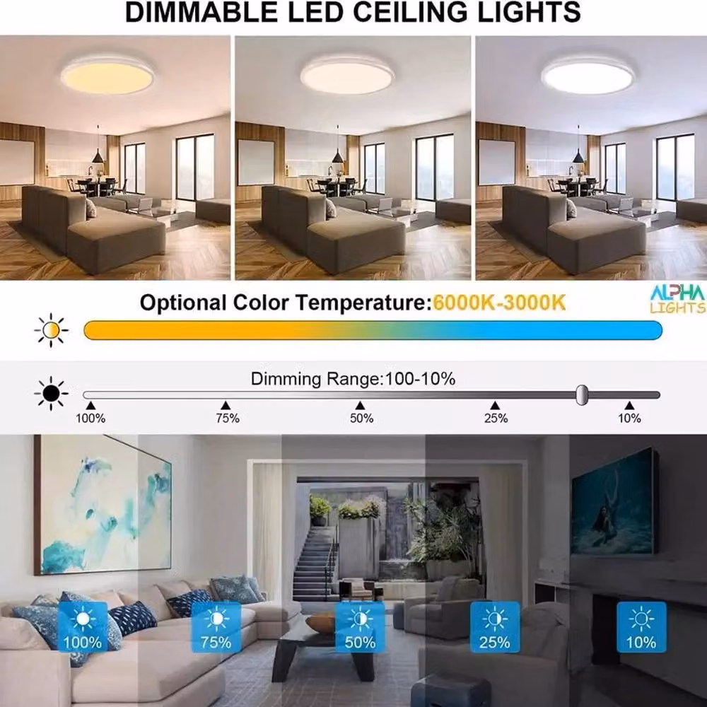 FLAVORA 2pc 24W RGB LED Ceiling Light, Dimmable Flush Mount Lamp in White – 6