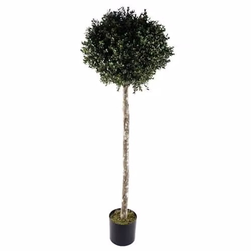 Leaf Design UK UV Protected Artificial Topiary Tree in Green, H 140 cm x W 50 cm x D 50 cm
