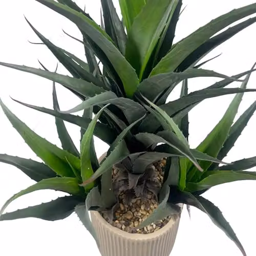 Leaf UK Green Agave Tropical Succulent Artificial Plant Display in Concrete Pot, Height: 110 cm, Width: 70 cm, Depth: 70 cm – 3