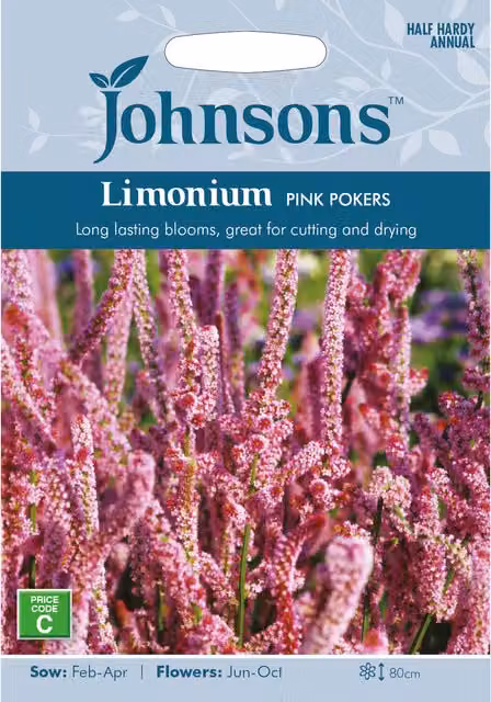 Johnsons Limonium Pink Pokers Ornamental Flower Seeds
