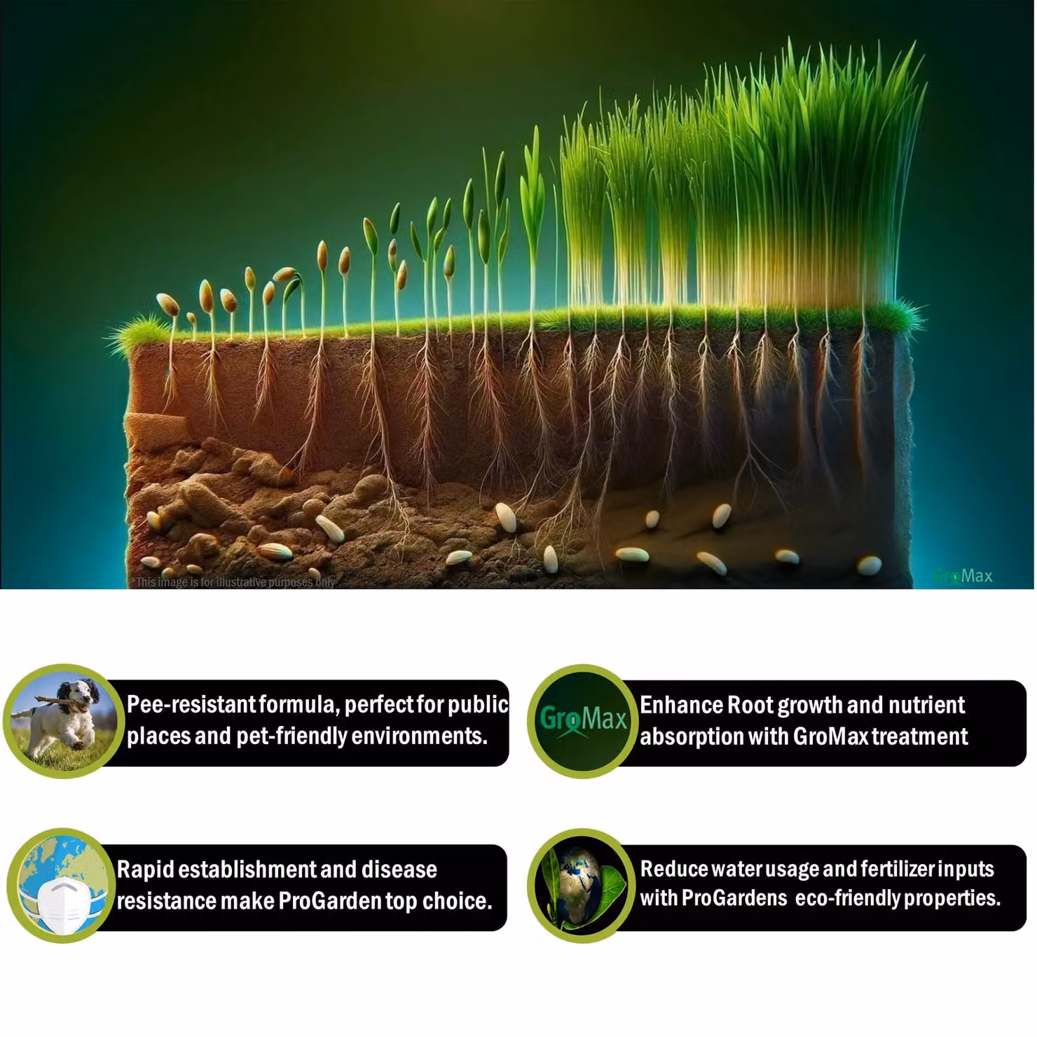 Pegdev ProGarden Resilient Low Maintenance High-Density Lawn Grass Seed, 1kg – 4