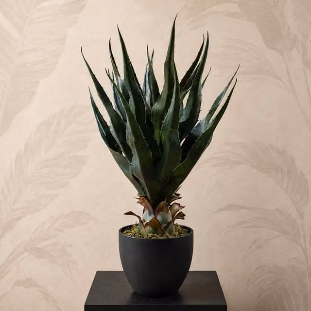 Leaf Design UK 70cm Green Artificial Agave Tropical Yucca Succulent Potted Plant – 1