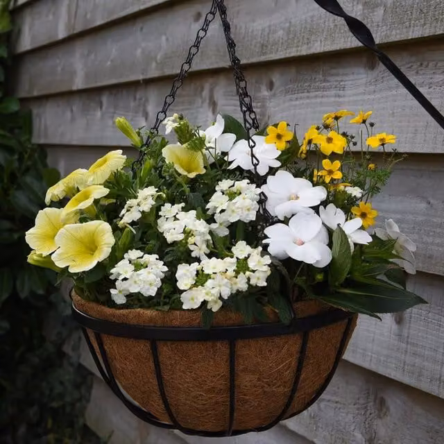 Thompson & Morgan Black Metal Garden Hanging Baskets and Coco Liners, Pack of 2