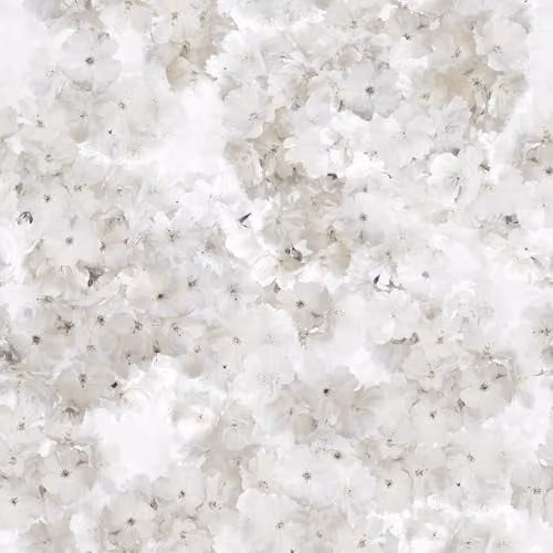 Muriva Apple Blossom Natural Floral Botanical Wallpaper in White