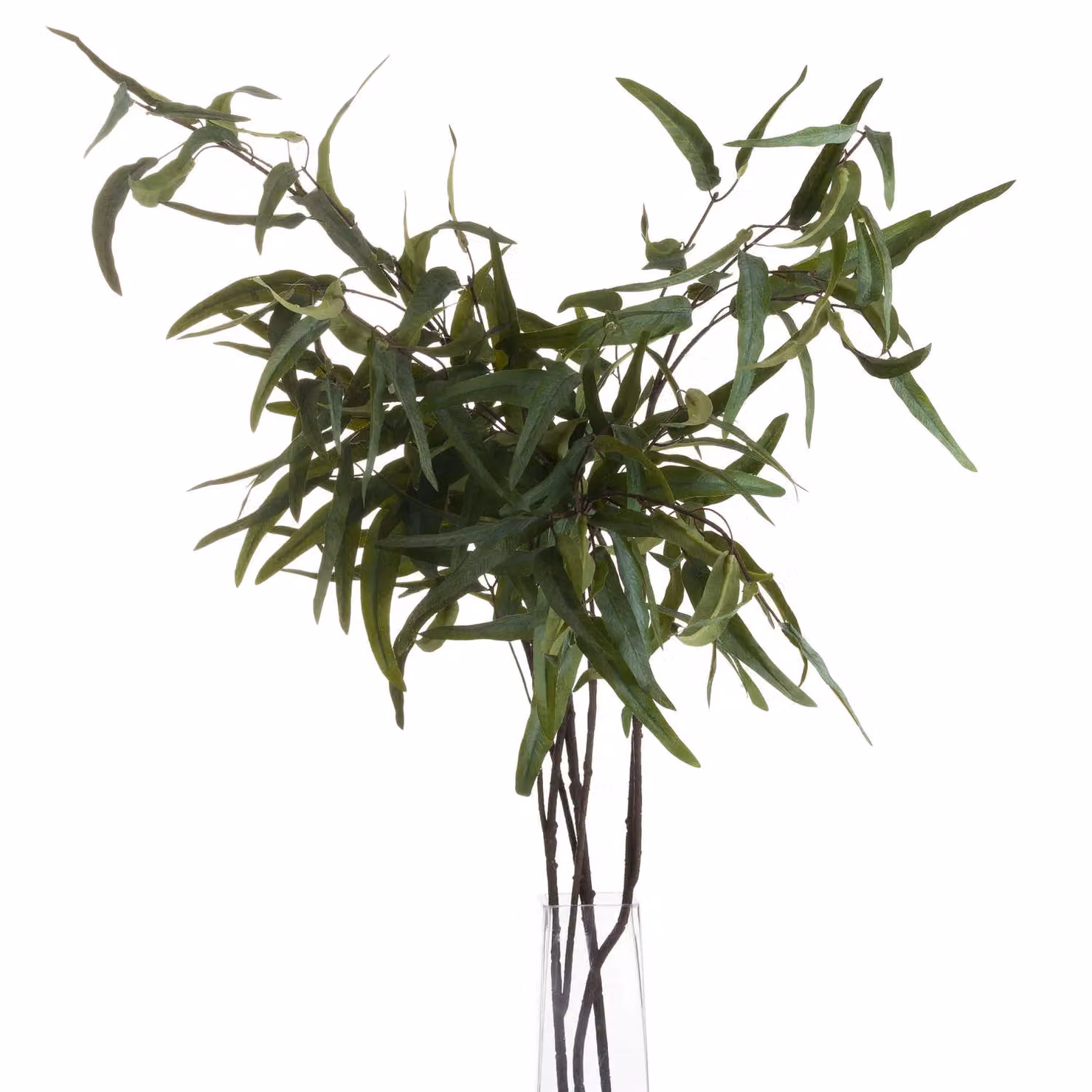 Love Lace Green Eucalyptus Nicholii Artificial Flower Spray – 3