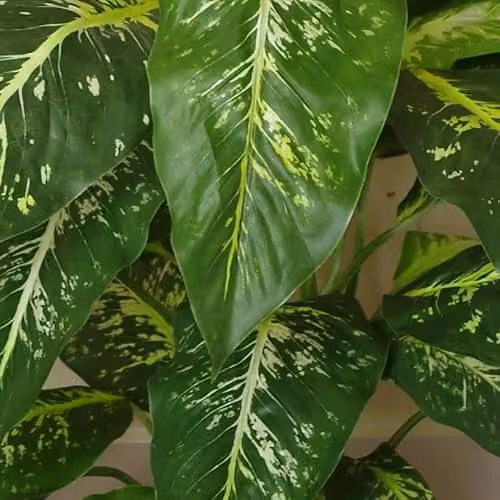 Large Fox Aglaonema Artificial Tree with Copper Metal Planter, Green – 3