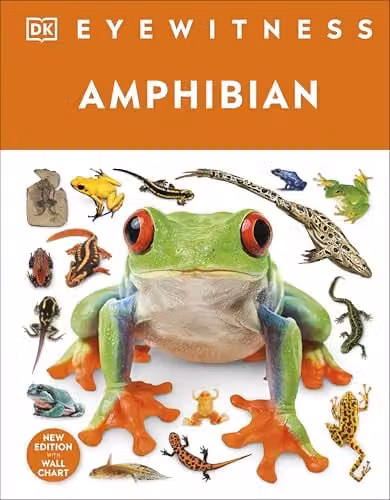 Eyewitness Amphibian Multicolour Paper Book – 1