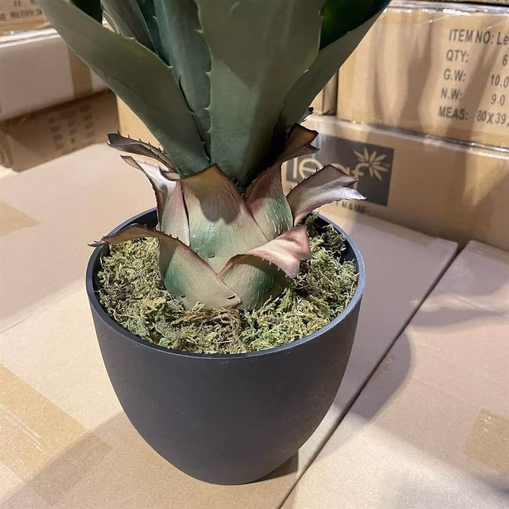 Leaf Premium Artificial Green Agave Tropical Yucca Succulent Potted Plant, Height: 70 cm – 4