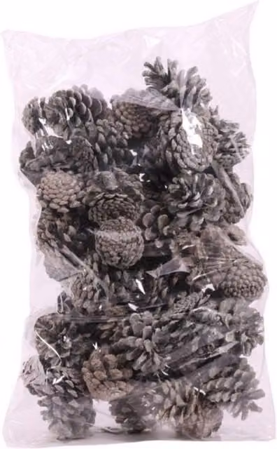 KDMD Grey Frosted Dried Pine Cones, 1kg