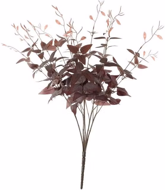 KDMD Essential Red Ruscus Bush 3 Pack, Red Green Plant for Weddings