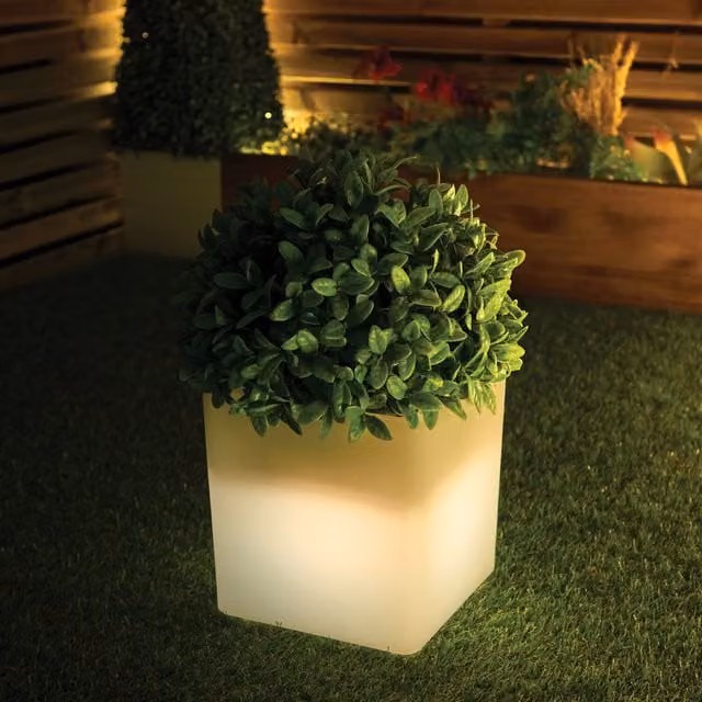 Ornate Collection Cube LED Light Up Planter in White and Multicolour