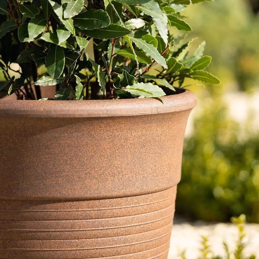 Primrose Tall Round Planter Tub in Brown, Height: 48.5 cm – 3