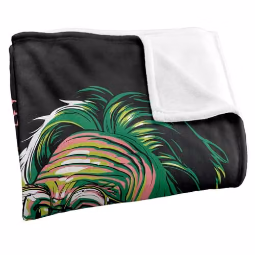 Warner Bros. Beetlejuice True Love Never Dies Super Soft Fleece Throw Blanket, Multicolour, W: 152 cm, D: 127 cm – 2