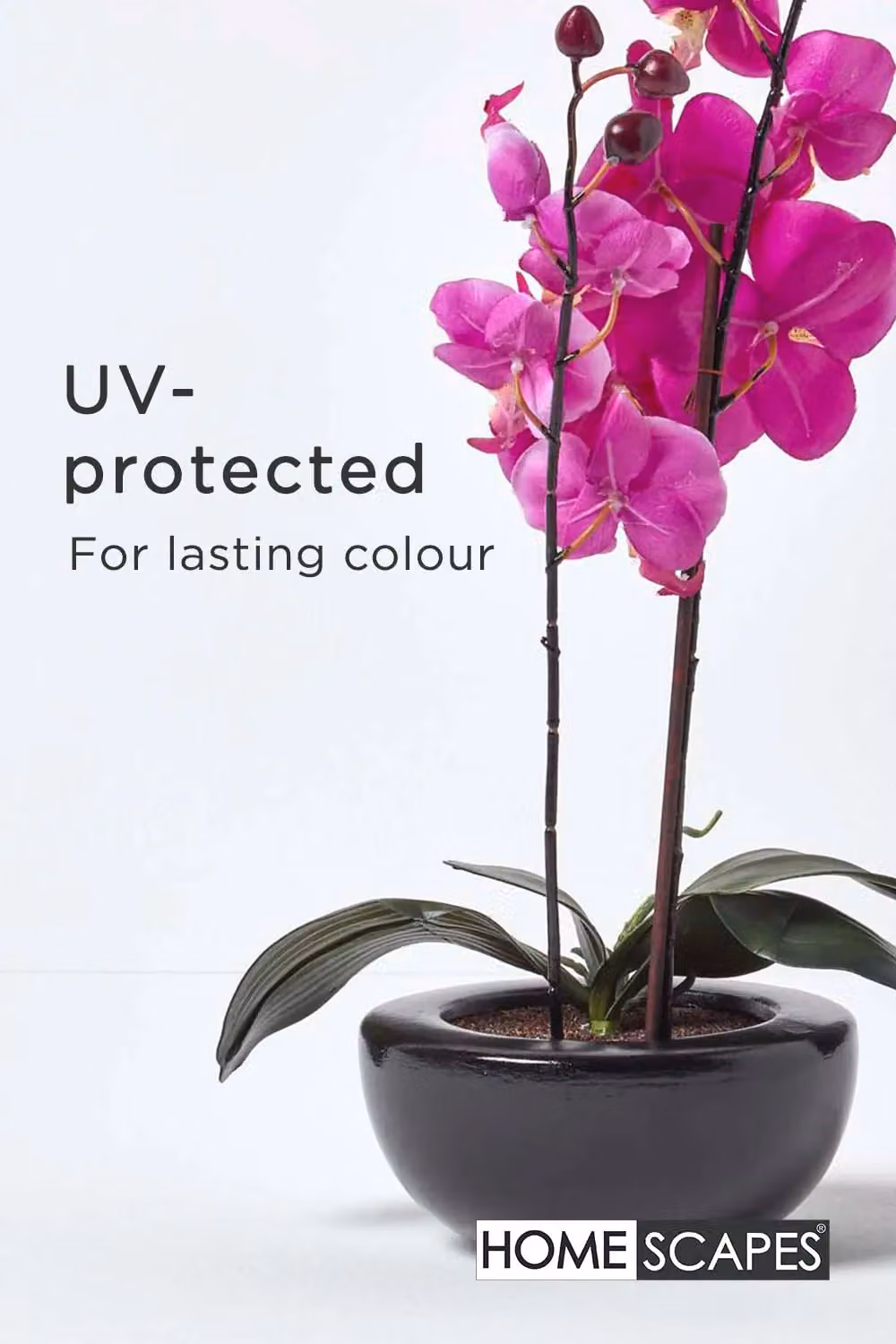 Homescapes Luxury Artificial Pink Orchid in a Black Round Bowl, Height: 54 cm – 4