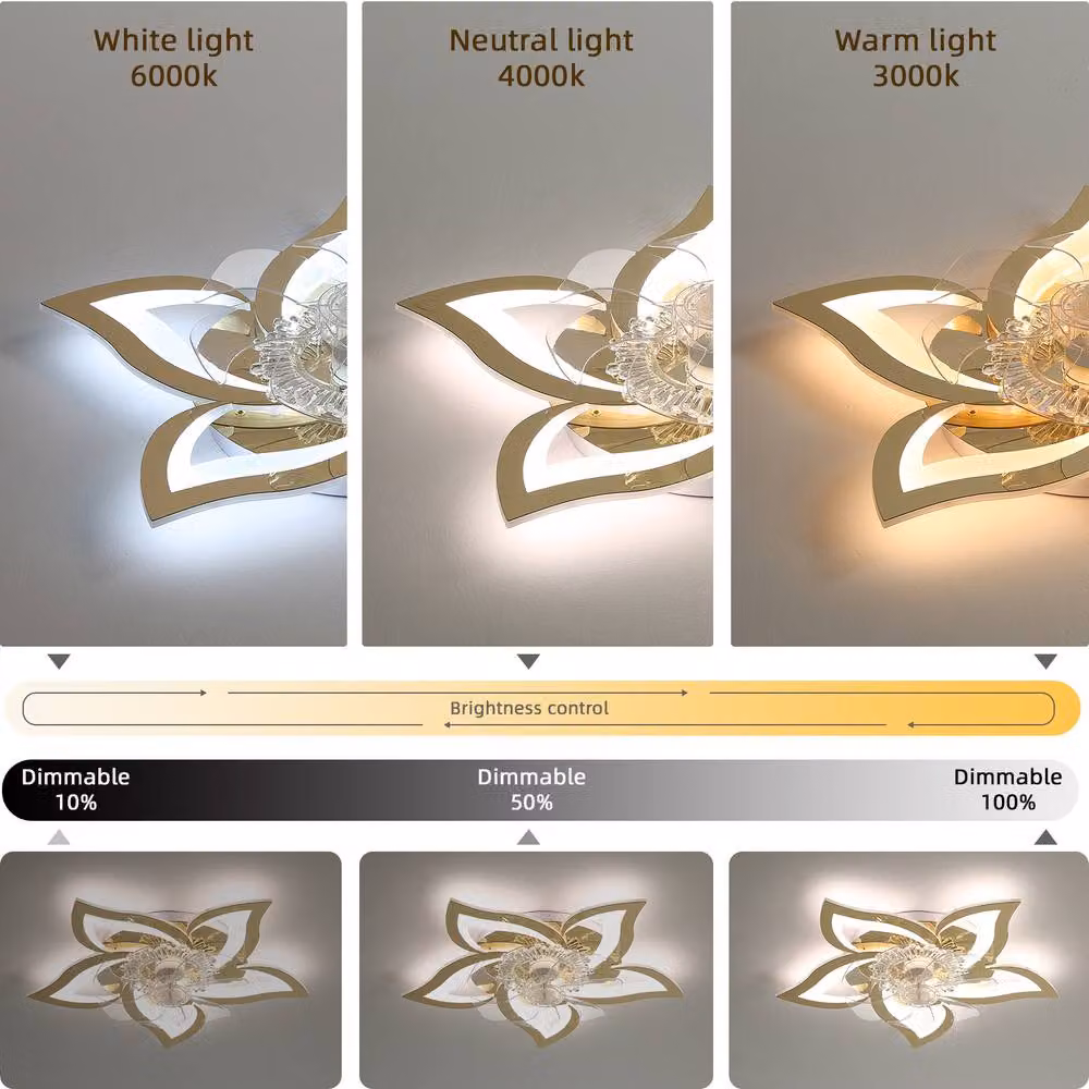 NIVOR 5 Leaf Dimmable Ceiling Fan with Light and Remote Control, Gold/Brass – 2