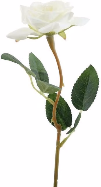 Kingsbury Gifts White Artificial Rose Stem, Height: 37 cm
