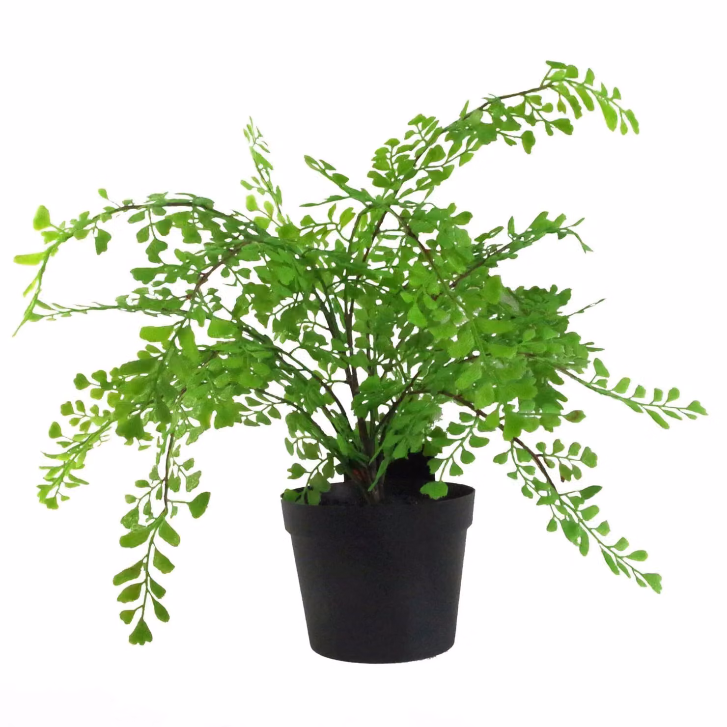 Leaf Design Realistic Artificial Potted Fern Plant in Green, Height: 45 cm, Width: 45 cm, Depth: 35 cm – 2