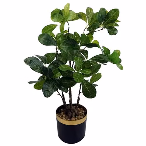 Leaf Green Artificial Tabletop Bonsai Tree H 60 cm x W 30 cm x D 30 cm