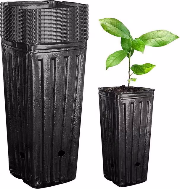 Nordara Black Plastic Deep Nursery Pot Planter for Garden Flowers and Plants