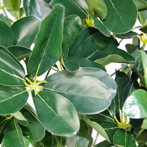 Leaf Artificial Ficus Umbrella Tree, Dark Green, Height: 95 cm – 4