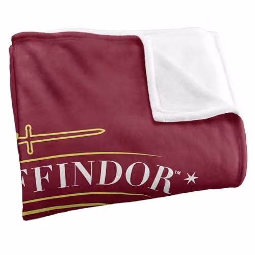 Warner Bros. Harry Potter Gryffindor Shield Hand Drawn Super Soft Fleece Throw Blanket, Multicolour, W/D/H: 91 x 147 cm – 2